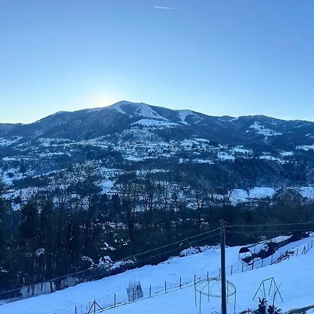 The Quiet Corner- Apartment