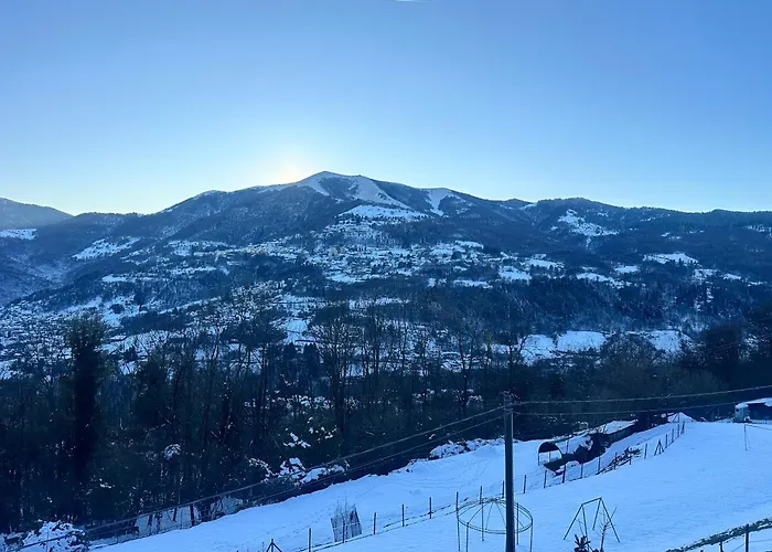 The Quiet Corner- Apartment